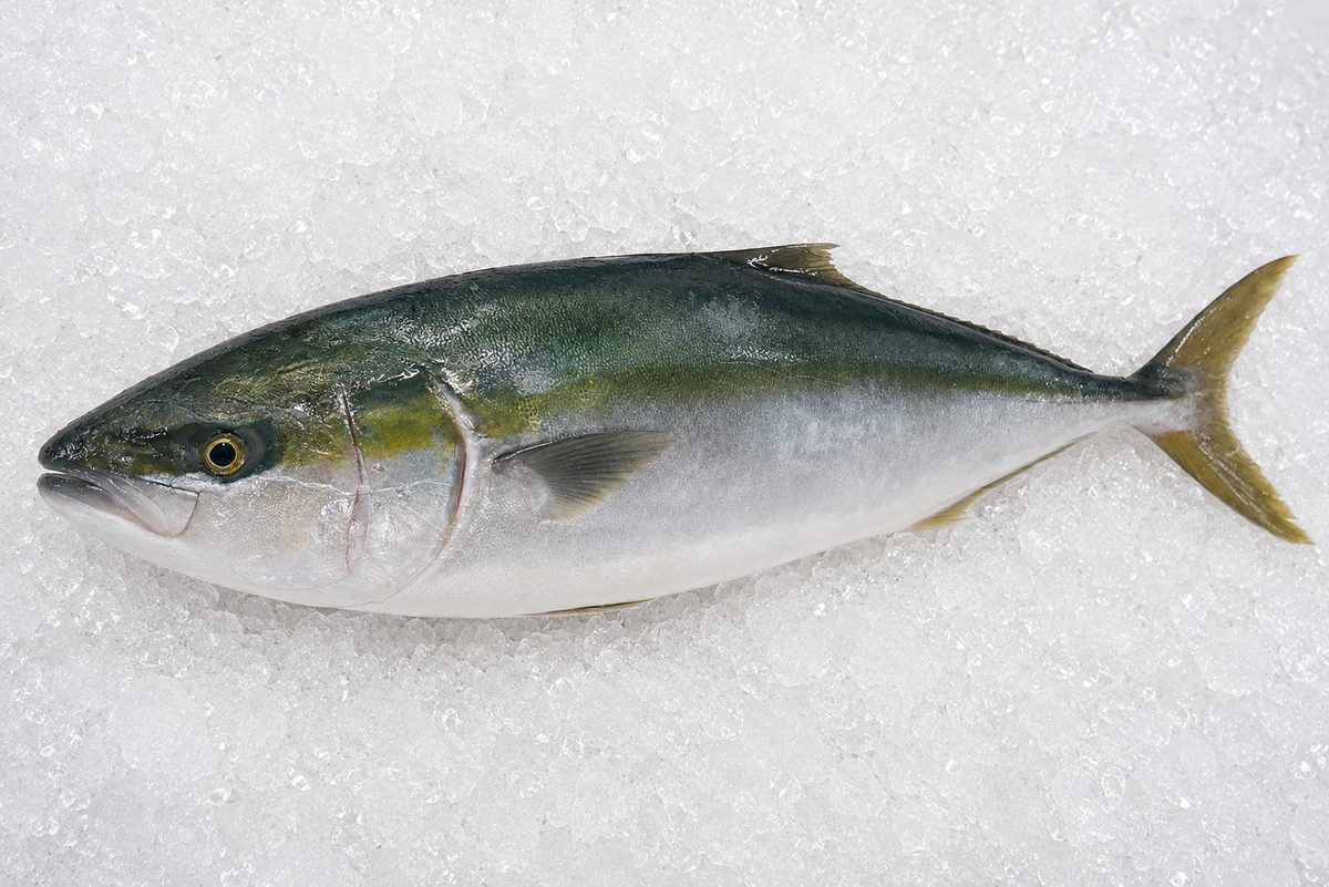 Buri